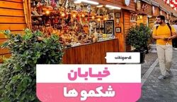 خیابان شکموها کجاست؟ | مکان مخصوص شکم گردی تو دل تهران + عکس