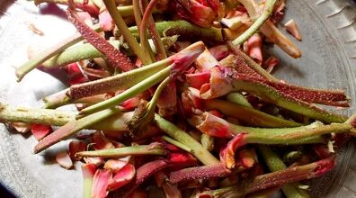 با ریواس مربا درست کن! | طرز تهیه مربای ریواس خانگی و مقوی