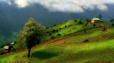ییلاق سوادکوه؛ بهشت گمشده در میان کوه‌ های مازندران + عکس 