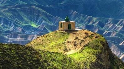 هشدار به گردشگران شمال کشور | هجوم حشرات سمی به استان گلستان