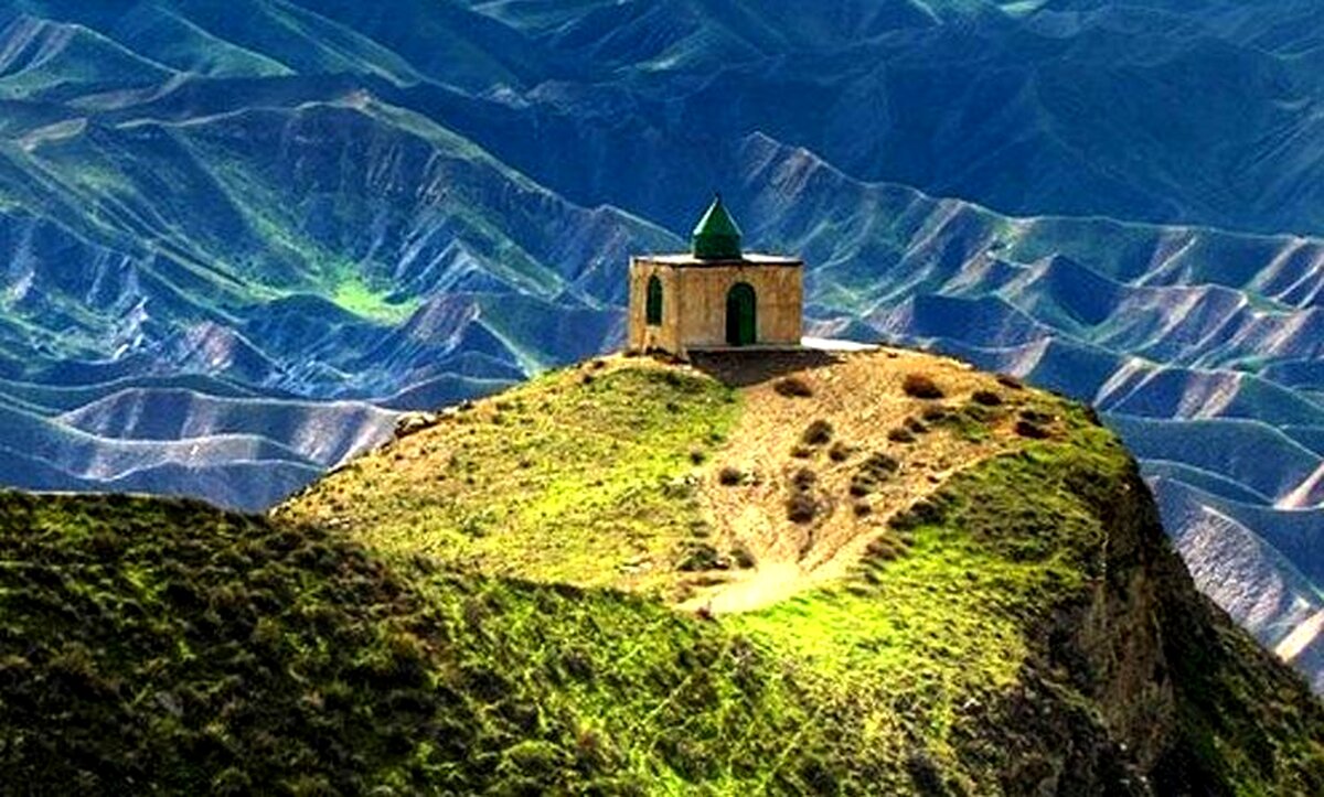 هجوم حشرات 