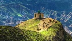 هشدار به گردشگران شمال کشور | هجوم حشرات سمی به استان گلستان