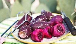 میدونستی کاکتوس میوه به این خوشمزگی داره؟ + خواص