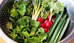 1 کیلو سبزی برای چند نفر کافیه؟ | اندازه مناسب انواع سبزی برای هرغذا