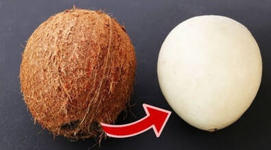آموزش پوست کندن نارگیل با ساده ترین روش  | ۲ تکنیک راحت برای بازکردن نارگیل + فیلم 