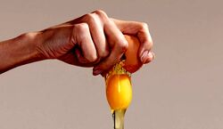 8 ماسک موی خانگی با تخم مرغ | با تخم مرغ؛ موهات رو تقویت کن!
