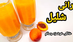 2 روش تهیه رانی شلیل، خوشمزه تر از رانی بازاری + نکات 
