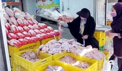 قیمت مرغ بسته بندی امروز 19 آذر چند؟ + جدول