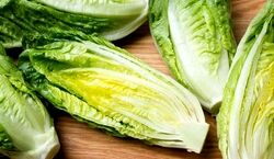 بهترین روش تازه ماندن کاهو، برای مدت طولانی + فیلم آموزشی 